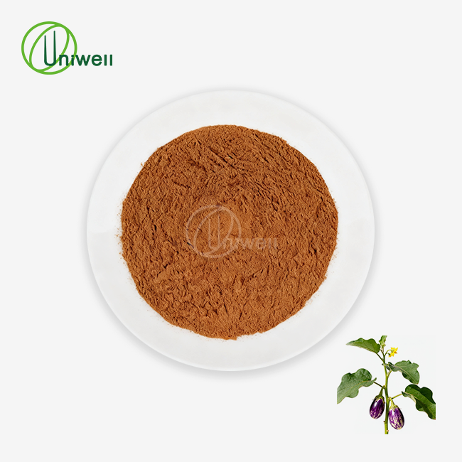 Pure Ashwagandha Root Extract Powder